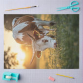 デコップカウロングホーン放牧 薄葉紙 (クラフト)