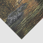 デコップカバーブリッジ高密度フォレスト 薄葉紙 (詳細)