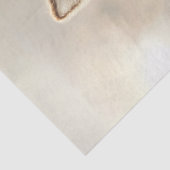 デコップカントリーキツネライディングスケートボード 薄葉紙 (詳細)