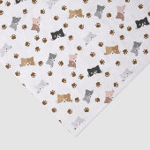 デコップキャッツバースデーパーティーペット 薄葉紙 (詳細)