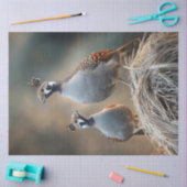 デコップギャンブルのウズラユニーク羽パターン 薄葉紙 (クラフト)