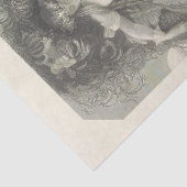 デコップクロスタニア・シェイクスピア 薄葉紙 (詳細)