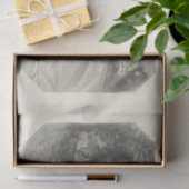 デコップクロスタニア・シェイクスピア 薄葉紙 (ギフト)