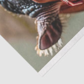 デコップクローズアップヒッポラージレッドグラス 薄葉紙 (詳細)