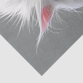 デコップグンピーの白い怒り猫 薄葉紙 (詳細)