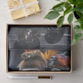 デコップゴリラファッションランウェイはっきりしたカラー 薄葉紙 (ギフト)