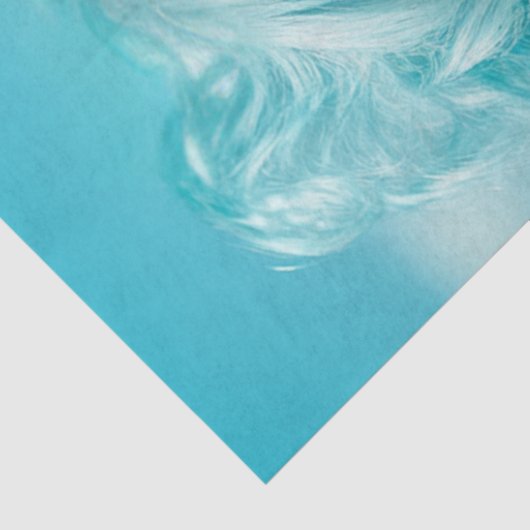 デコップサマーはっきりしたバイブサンキス済みトリートメント 薄葉紙 (詳細)