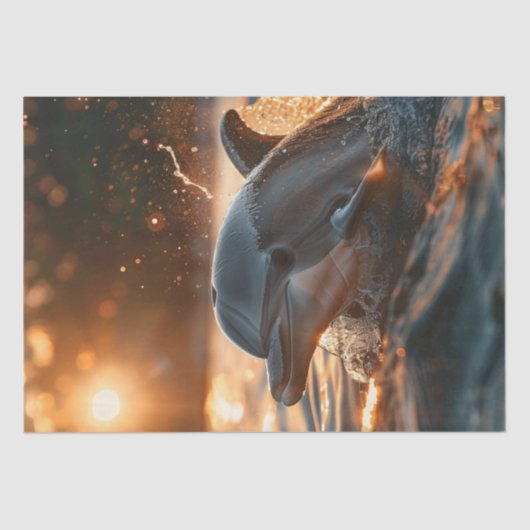 デコップサンセット海ドルフィンゴールデンヒュース 薄葉紙 (正面)