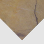 デコップシエナマーブルフェイク仕上げ 薄葉紙 (詳細)