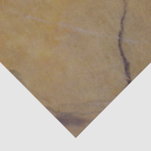 デコップシエナマーブルフェイク仕上げ 薄葉紙 (詳細)