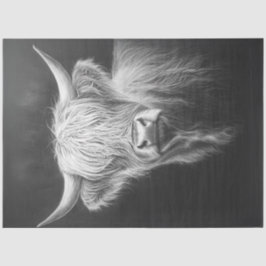 デコップシャギー高地カウブラック背景 薄葉紙