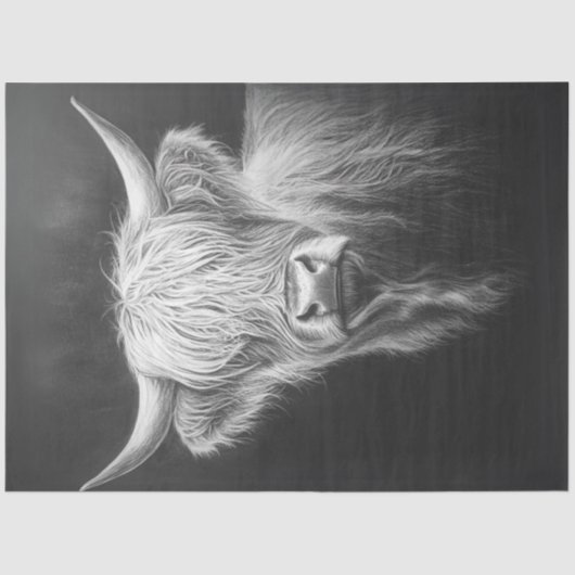 デコップシャギー高地カウブラック背景 薄葉紙 (正面)