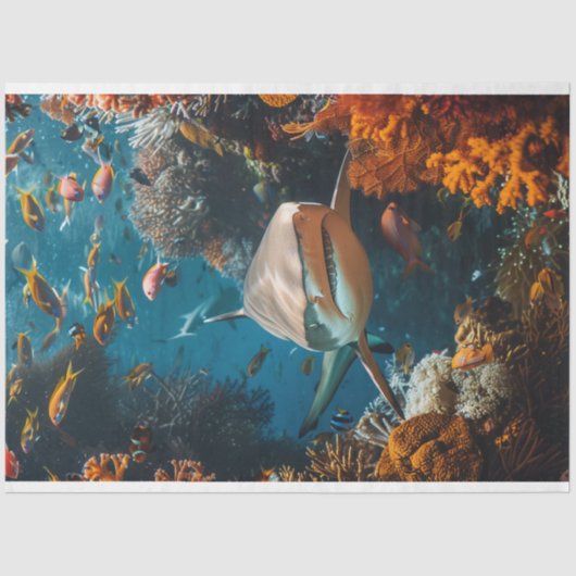 デコップシャーク海ウォーターワールド 薄葉紙 (正面)