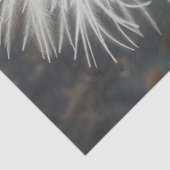 デコップシルキーショーガールチキンホワイト羽毛 薄葉紙 (詳細)