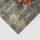 デコップスケルトンファミリースケルトン 薄葉紙 (詳細)