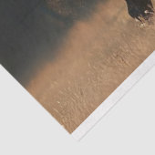 デコップスタンプンクスタリオンコッパーIRONMANE 薄葉紙 (詳細)