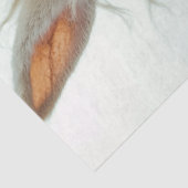 デコップスタームパンクウサギ乗用バイク 薄葉紙 (詳細)