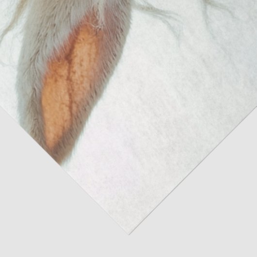 デコップスタームパンクウサギ乗用バイク 薄葉紙 (詳細)