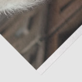 デコップスタームパンクスタンダードプードルバイクもしくは自転車に乗る人 薄葉紙 (詳細)