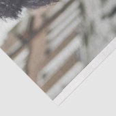 デコップスタームパンクスタンダードプードルモーターサイクリスト 薄葉紙 (詳細)