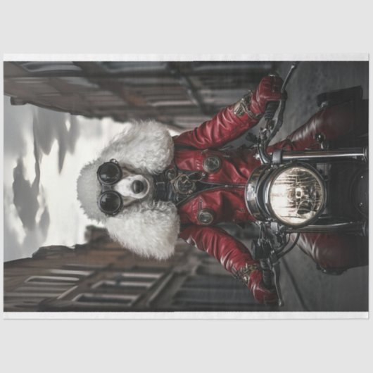 デコップスタームパンクスタンダードプールオートバイ 薄葉紙 (正面)