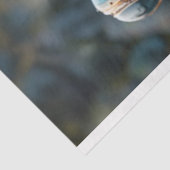 デコップスタームパンクブルーフロッグ 薄葉紙 (詳細)