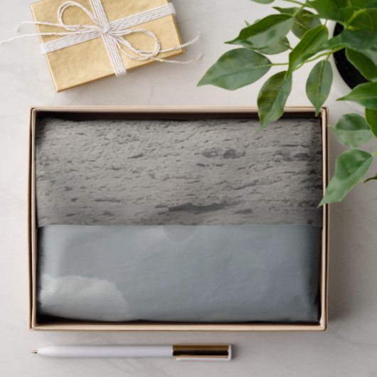 デコップスティームパンクのライオンと砂漠の女性 薄葉紙 (ギフト)