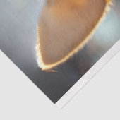 デコップステームパンクチワフアコグセリ 薄葉紙 (詳細)