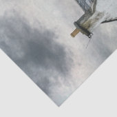 デコップストームウォッチキャビンのアイルランドシーショア 薄葉紙 (詳細)