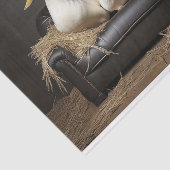 デコップダック 薄葉紙 (詳細)