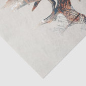 デコップダブル露出ディアプロファイル 薄葉紙 (詳細)