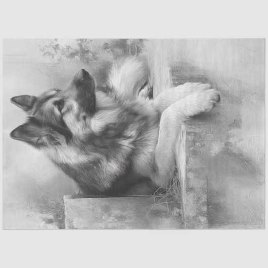 デコップチャコールドイツシェパードポートレート 薄葉紙 (正面)