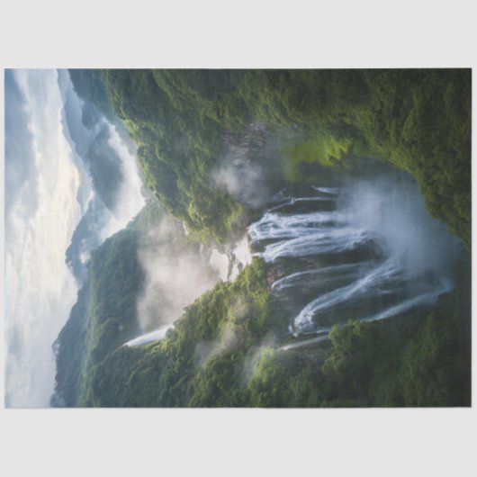 デコップトロピカルミスティ滝南米 薄葉紙 (正面)