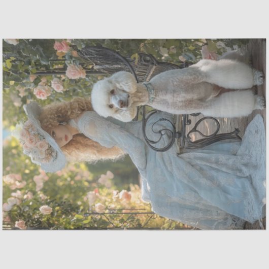 デコップドビクトリアンレードレディースタンダードプードル 薄葉紙 (正面)