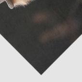 デコップドファッションランウェイ標準プールスタイル 薄葉紙 (詳細)