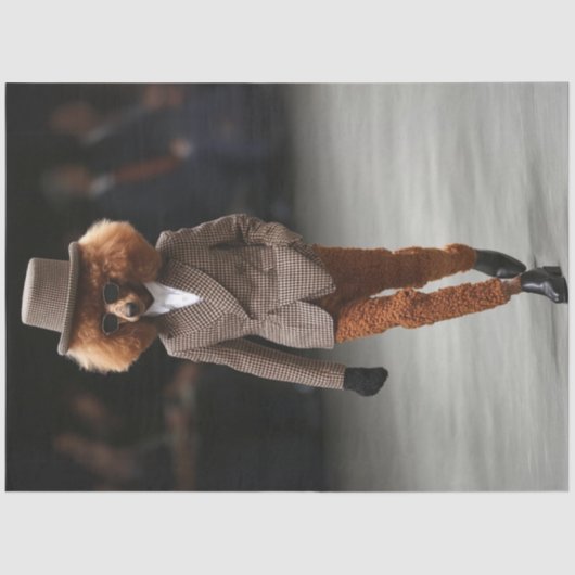 デコップドファッションランウェイ標準プールスタイル 薄葉紙 (正面)