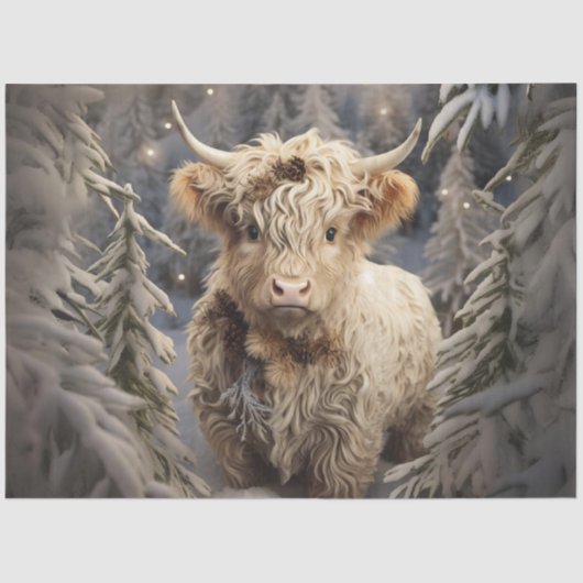 デコップハイラお洒落ンドウィンターワンダーランド 薄葉紙 (正面)