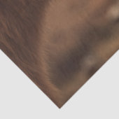 デコップハイランドカウアンドカーフナッツリング 薄葉紙 (詳細)