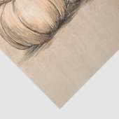 デコップハイランドカウホワイト幽霊 薄葉紙 (詳細)