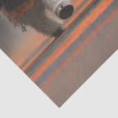 デコップハイランドカーブハロウィーンモーマーチ 薄葉紙 (詳細)