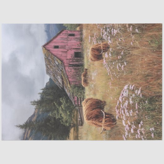 デコップハイランドフシズラッッシュフィールズピンクバーン 薄葉紙 (正面)