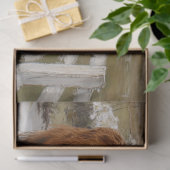 デコップハイランドフュス歩くダウンカントリーロード 薄葉紙 (ギフト)