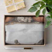 デコップハロウィーンハイランドカウブサイン 薄葉紙 (ギフト)