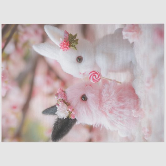 デコップバお洒落レンタヌバニーカップル 薄葉紙 (正面)