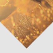 デコップバッファローインディアンテリトリーゴールデンサンセット 薄葉紙 (詳細)