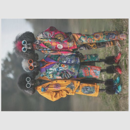 デコップヒッパイヒップスターズ標準プードルズ自転車 薄葉紙 (正面)