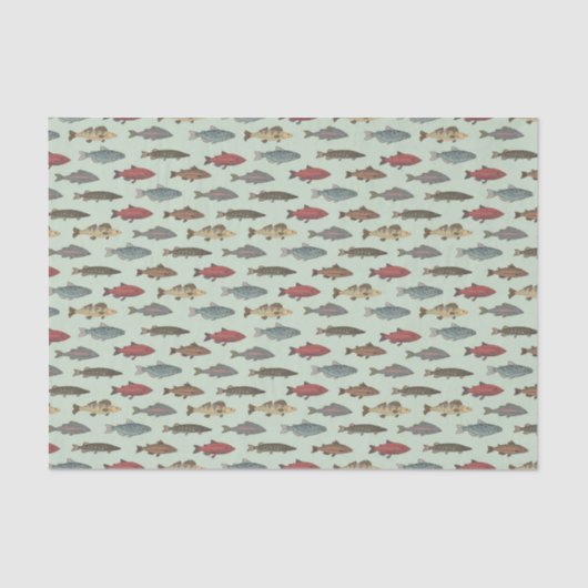 デコップフィッシュ魚釣りグリーンバースデーパーティー 薄葉紙 (正面)