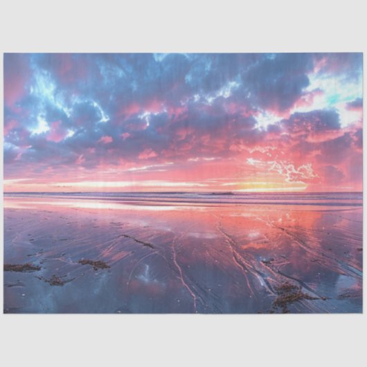 デコップフォトペンサコーラビーチフロリダ 薄葉紙 (正面)