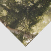 デコップフォレストチャペルゴシックフェアユタレ 薄葉紙 (詳細)