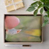 デコップフワフチックパステルカラーズイースター 薄葉紙 (ギフト)